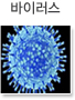 바이러스